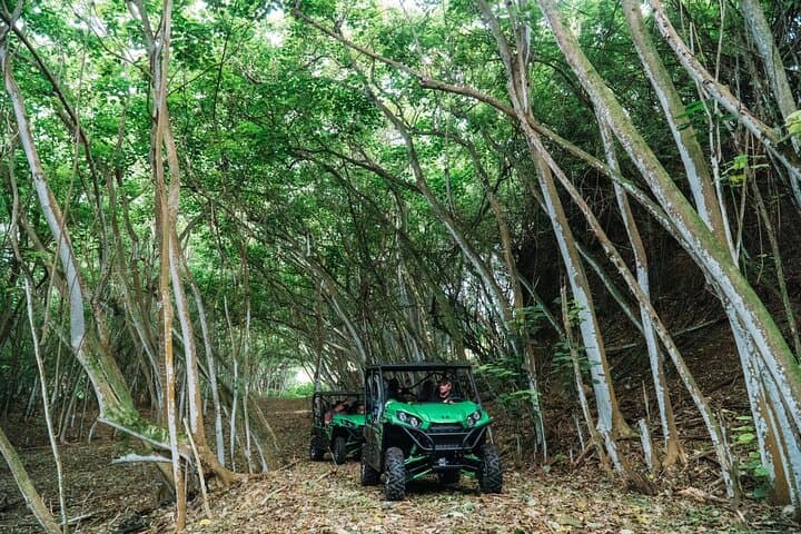 Private Off-Road Explorer's Tour at Gunstock Ranch — North Shore Oahu Off-Roading