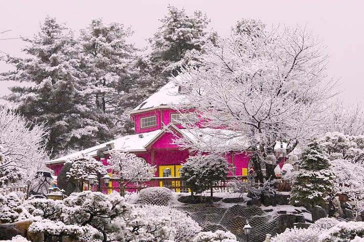 Winter One-Day Tour in Pocheon: Strawberries, Ice Walls & Herb Island photo 4