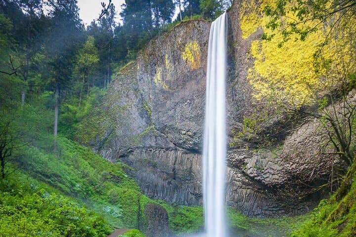 Private Tour of Multnomah Falls and Columbia Gorge — Guided Half-Day from Portland photo 4
