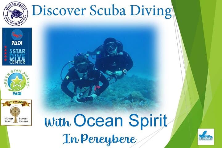 Discover Scuba Diving in Mauritius — Introductory Reef Dives & Dolphin Encounters