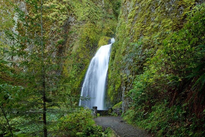Private Tour of Multnomah Falls and Columbia Gorge — Guided Half-Day from Portland photo 5