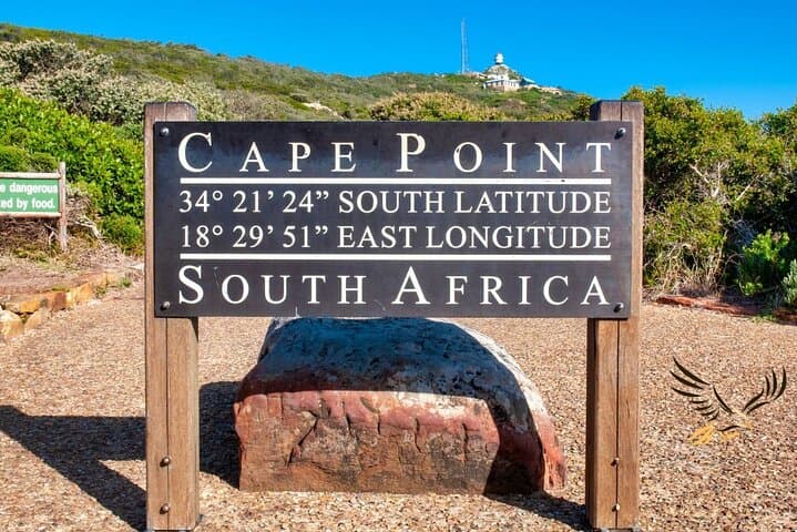 Cape Town Highlights: Table Mountain, Boulders Penguins & Constantia Wine Tour photo 5