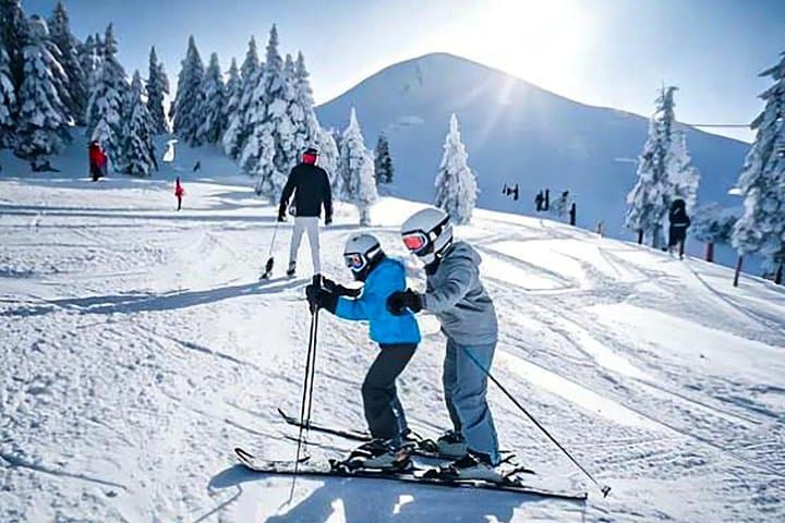 Day Trip to Fujiyama Snow Resort Yeti: Ski, Sled & Shuttle from Tokyo photo 3