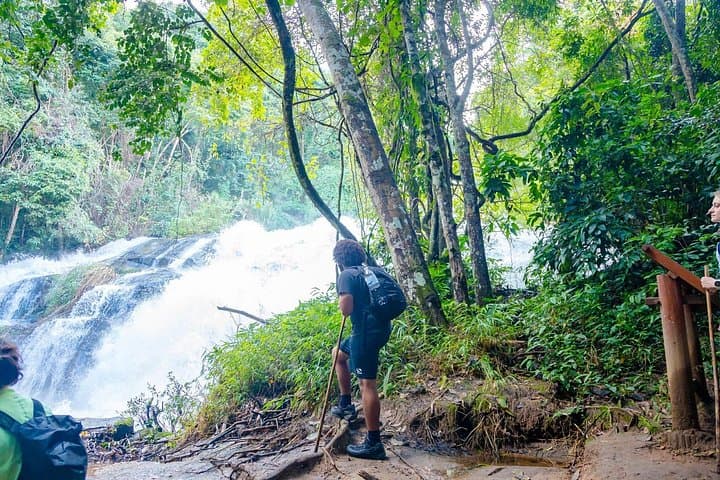 Chiang Mai ATV Adventure: Doi Inthanon Trekking & Elephant Sanctuary Day Trip
