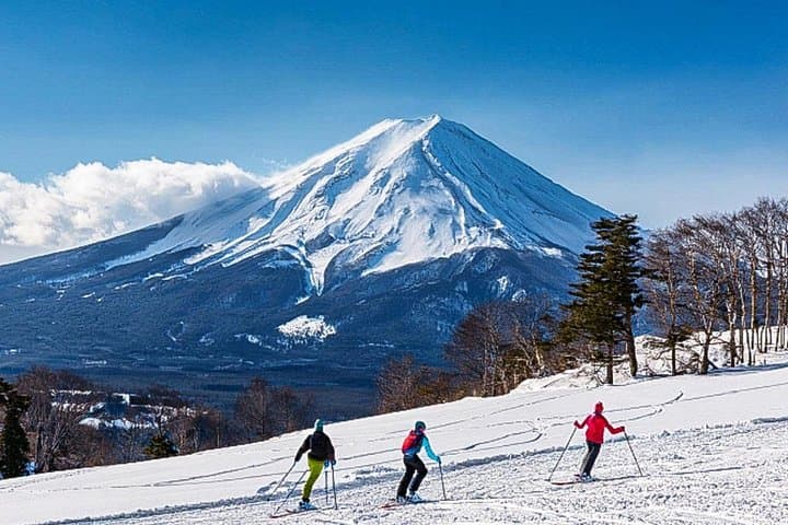 Day Trip to Fujiyama Snow Resort Yeti: Ski, Sled & Shuttle from Tokyo photo 2