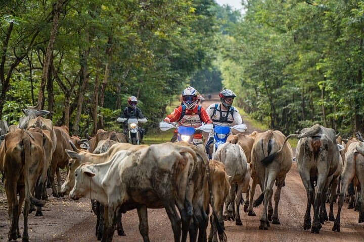 3-Day Jungle Temples Enduro: Siem Reap to Koh Ker & Preah Khan photo 3