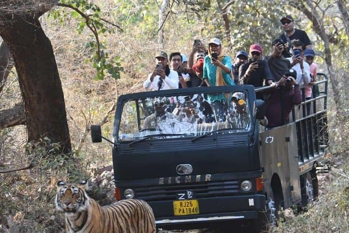 Ranthambore Canter Safari: 20-Seater Tiger-Spotting Experience photo 2
