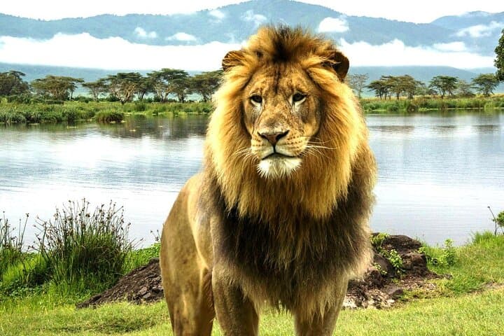2-Day Safari from Nairobi: Hell's Gate, Lake Naivasha & Lake Nakuru photo 5
