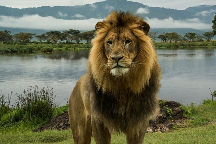 2-Day Safari from Nairobi: Hell's Gate, Lake Naivasha & Lake Nakuru photo 3