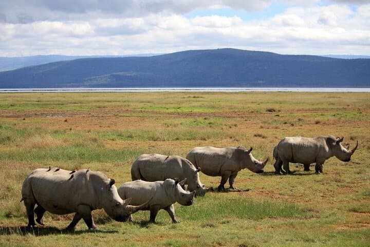 2-Day Safari from Nairobi: Hell's Gate, Lake Naivasha & Lake Nakuru photo 2