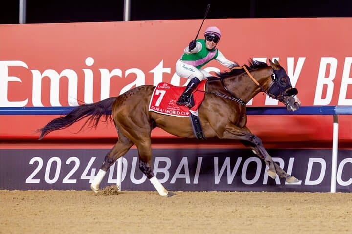 Meydan Race Day: How to Experience the Dubai World Cup in Style photo 3