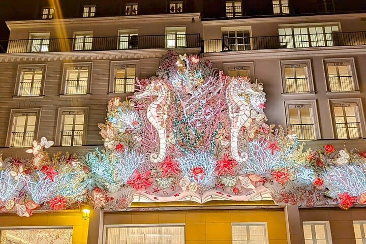 Paris Christmas Lights by Vintage Citroën: Evening Illumination Tour photo 3