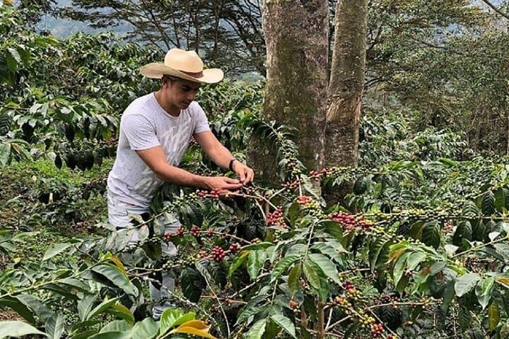 Materuni Waterfall to Chemka Hot Springs: Full-Day Hike, Coffee and Soak from Moshi