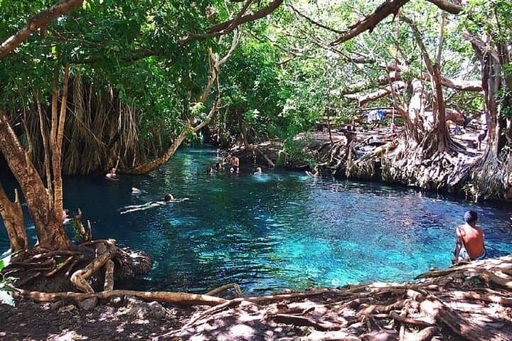 Materuni Waterfall to Chemka Hot Springs: Full-Day Hike, Coffee and Soak from Moshi photo 3