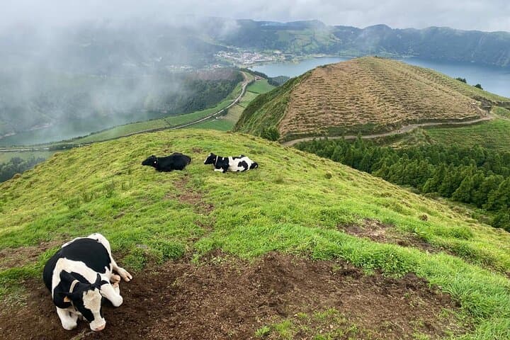 Sete Cidades 4x4 Half-Day Jeep Tour from Ponta Delgada photo 5