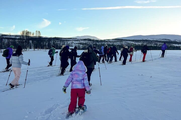 Tromsø Snowshoeing with Reindeer: Guided Winter Walk and Traditional Meal photo 3
