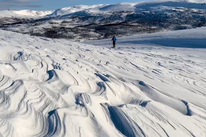 Tromsø Snowshoeing with Reindeer: Guided Winter Walk and Traditional Meal photo 5