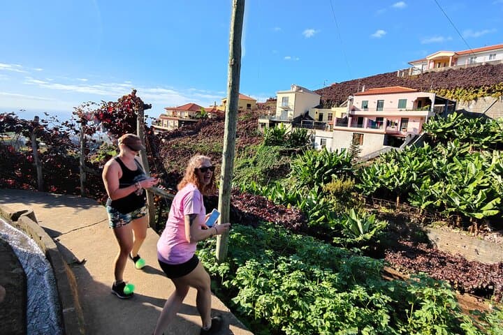Madeira Half-Day 4x4 Safari to Nun's Valley, Cabo Girão & Hidden Villages photo 6