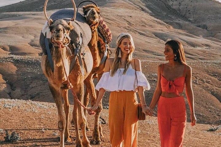 Full-Day Marrakech Excursion from Casablanca: Medina, Souks & Camel Ride photo 3