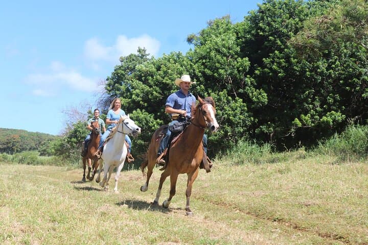 Private Advanced Trail Ride on Oahu’s North Shore — Gunstock Ranch