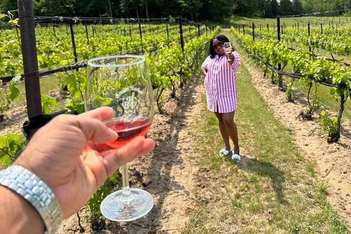 Traverse City Sunset Wine Tour — Old Mission Peninsula 3‑Winery Experience photo 6