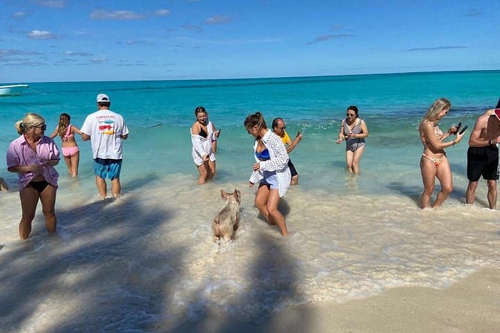 Rose Island Swimming Pigs & Snorkel Day Trip from Nassau photo 3