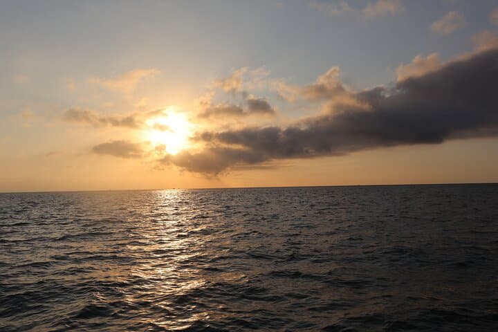 Puerto Vallarta Sunset Sailing: Intimate Evening Cruise with Chef Appetizers & Open Bar