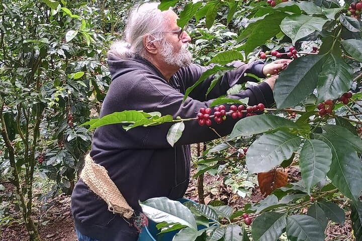 Full-Day Coffee Farm Experience at Finca Papera — From Bean to Cup Near Bogotá photo 2