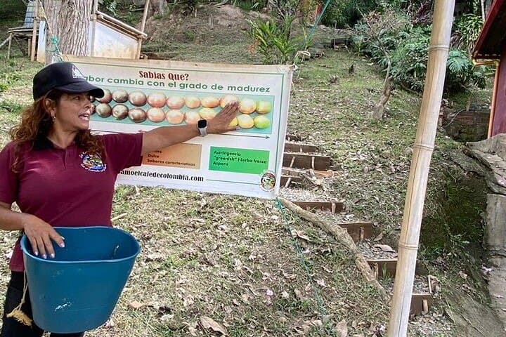 Full-Day Coffee Farm Experience at Finca Papera — From Bean to Cup Near Bogotá photo 3