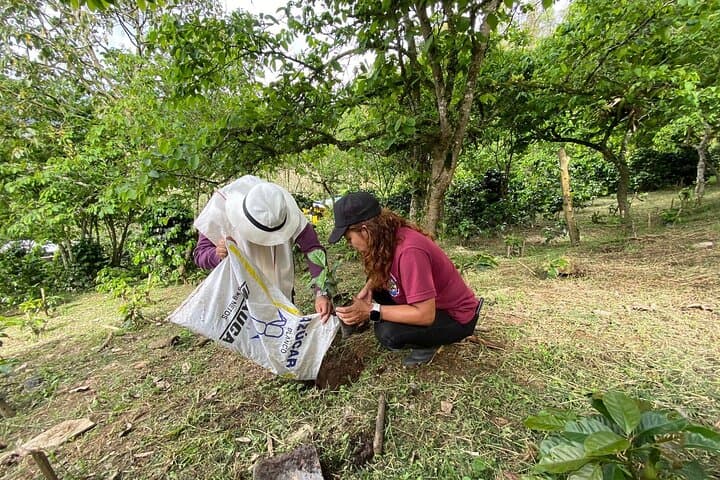 Full-Day Coffee Farm Experience at Finca Papera — From Bean to Cup Near Bogotá photo 5
