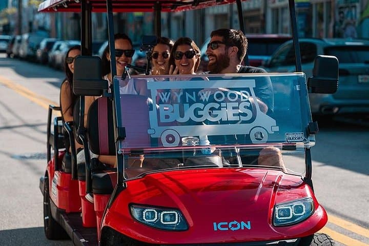 Wynwood Walls Admission & Guided Neighborhood Buggy Tour in Miami photo 2