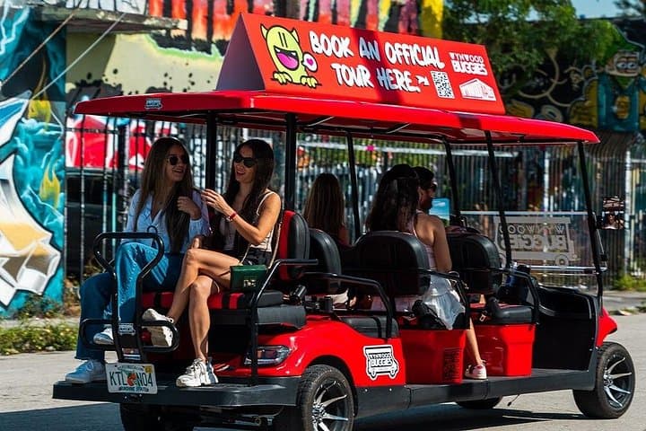 Wynwood Walls Admission & Guided Neighborhood Buggy Tour in Miami photo 4