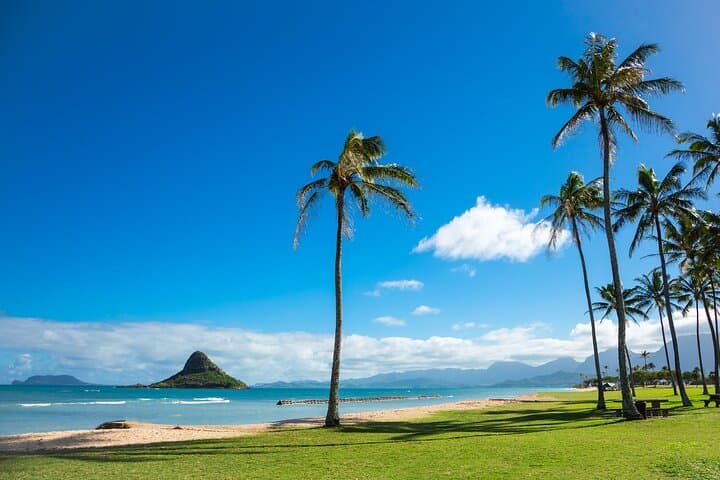 Oahu Circle Island Adventure: Dole Plantation, Turtle Snorkel & Pali Lookout photo 6