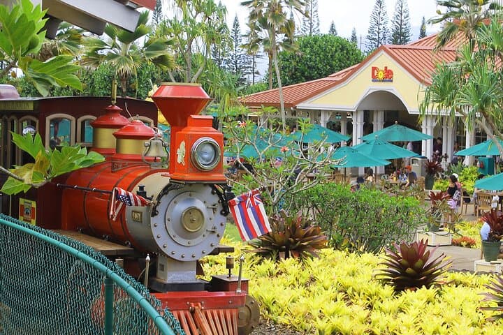 Oahu Circle Island Adventure: Dole Plantation, Turtle Snorkel & Pali Lookout photo 4