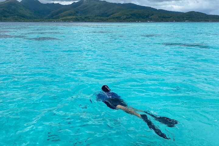 Private Raiatea & Taha'a Lagoon Exploration — Snorkel, Pearl Farm & Vanilla Tasting photo 5