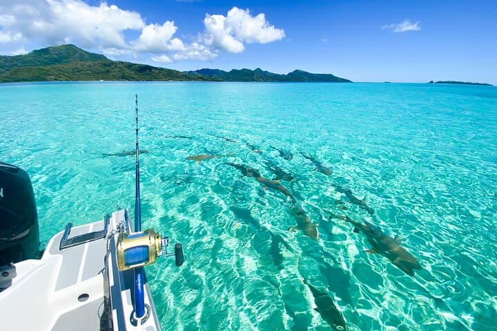 Private Raiatea & Taha'a Lagoon Exploration — Snorkel, Pearl Farm & Vanilla Tasting