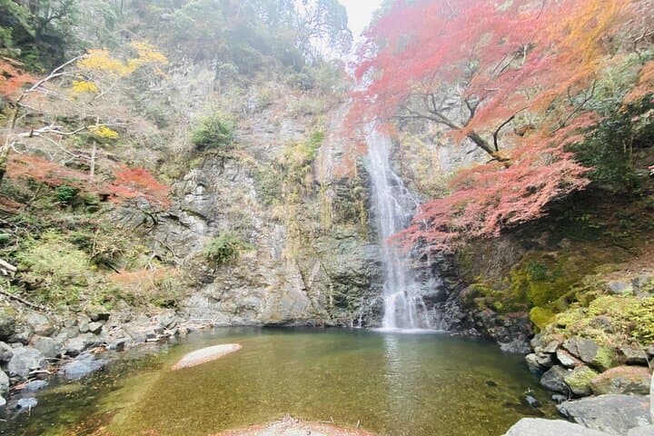 Osaka in a Day: Umeda Skies, Dotonbori Streets and Minoh Falls photo 4