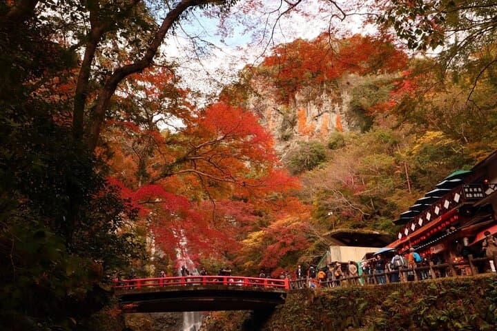 Osaka in a Day: Umeda Skies, Dotonbori Streets and Minoh Falls photo 3