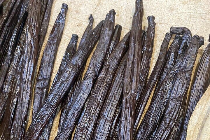Private Raiatea & Taha'a Lagoon Exploration — Snorkel, Pearl Farm & Vanilla Tasting photo 4