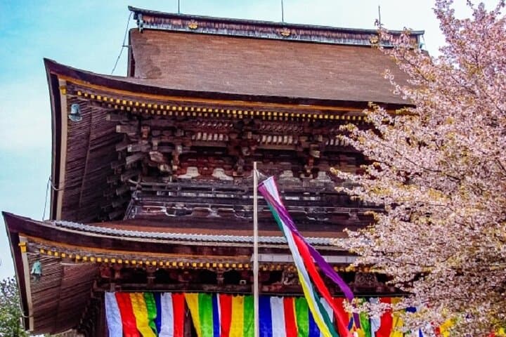 Mt Yoshino & Mt Koya 2-Day Cherry Blossom and Temple Lodging Tour from Osaka photo 5