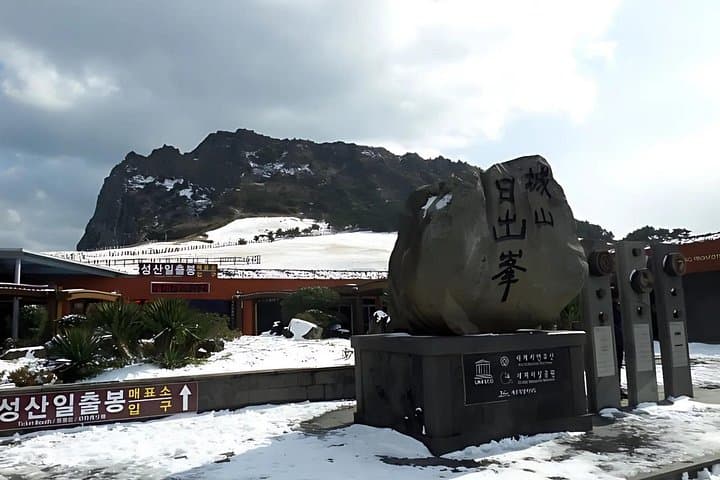 Jeju East Winter: Snow, Camellias & Mandarin-Picking Day Tour photo 4