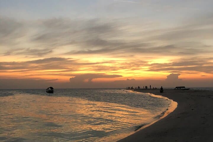 Zanzibar Full-Day Snorkeling: Mnemba Atoll, Turtle Encounter & Kendwa Sunset photo 3