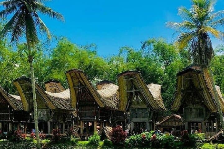 3-Day Toraja Cultural Heritage Tour from Makassar — Cliff Tombs & Rice Terraces