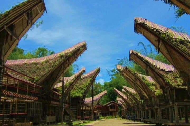 3-Day Toraja Cultural Heritage Tour from Makassar — Cliff Tombs & Rice Terraces photo 2