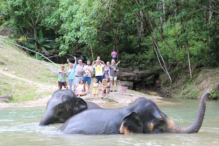 Phuket Elephant Sanctuary: Ethical Elephant Observation and Thai Cooking Experience