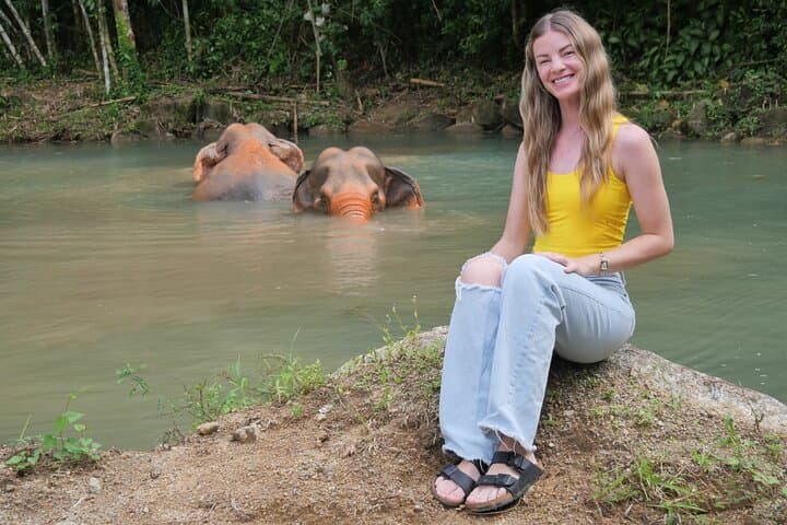 Phuket Elephant Sanctuary: Ethical Elephant Observation and Thai Cooking Experience photo 3