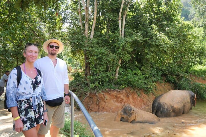 Phuket Elephant Sanctuary: Ethical Elephant Observation and Thai Cooking Experience photo 5