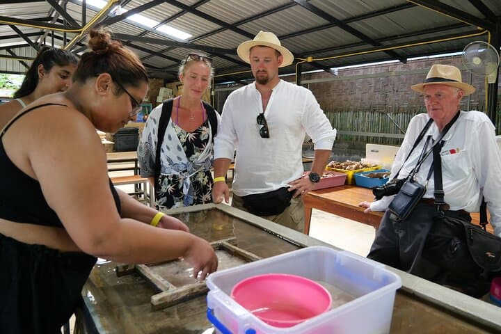 Phuket Elephant Sanctuary: Ethical Elephant Observation and Thai Cooking Experience photo 6
