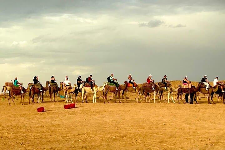 Majestic Agafay Desert Experience: Sunset Dinner, Camels & Argan Cooperative