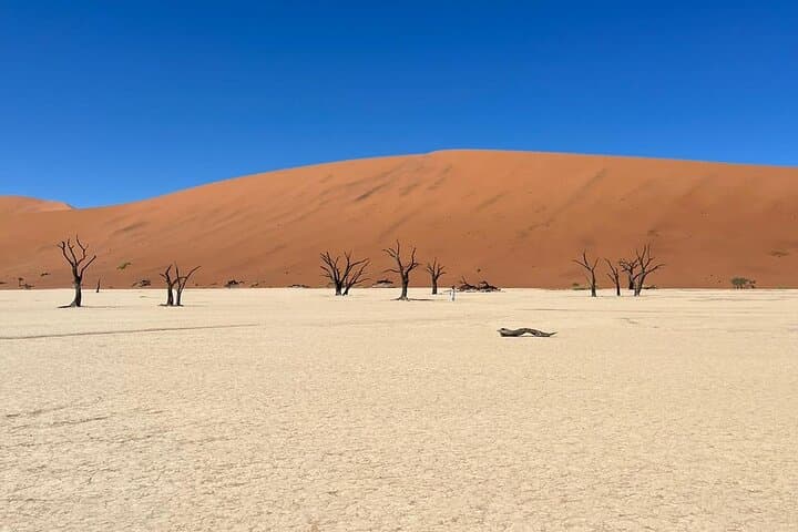 2-Day Sossusvlei Budget Guided: Sunrise Dunes & Sesriem Canyon photo 4